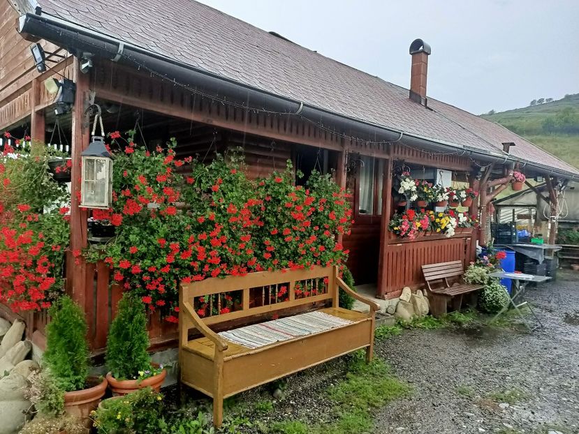 Img.2022.08.30- în drum spre casă - Sovata