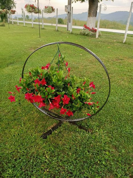 Img.2022.08.30 - Sovata