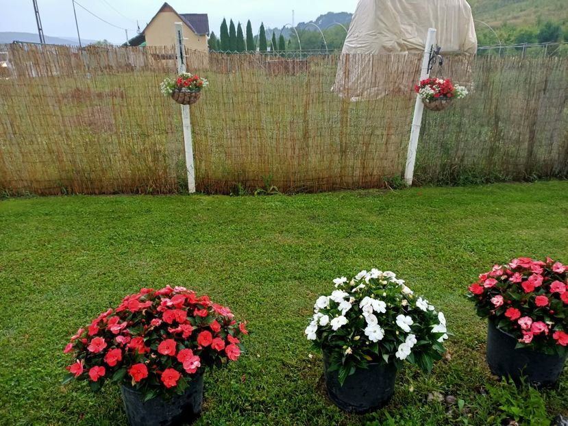 Img.2022.08.30 - Sovata
