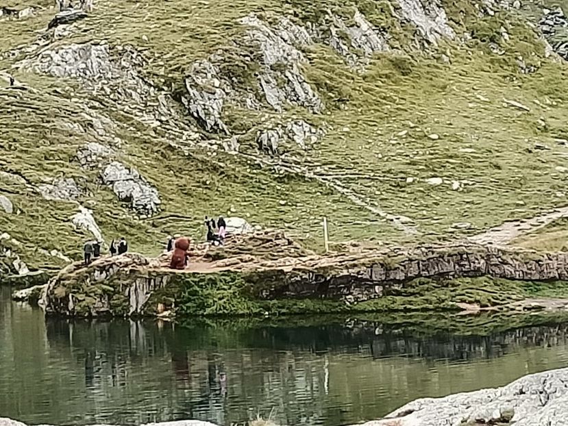 Img.2022.09.04 - Transfăgărășan - Albota