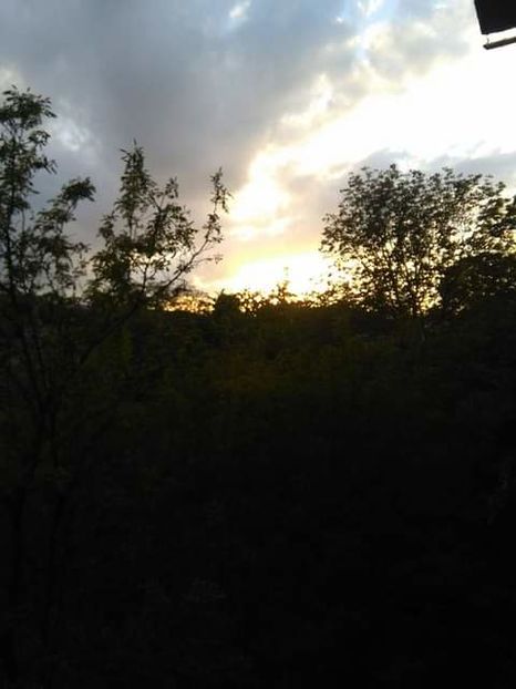 - peisaje