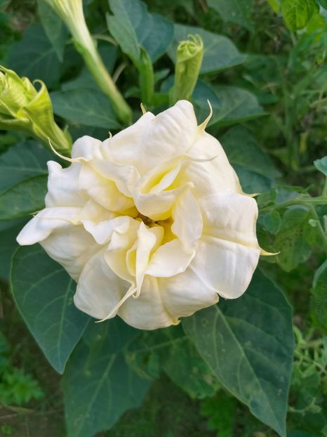 IMG20220908173513 - Septembrie 2022