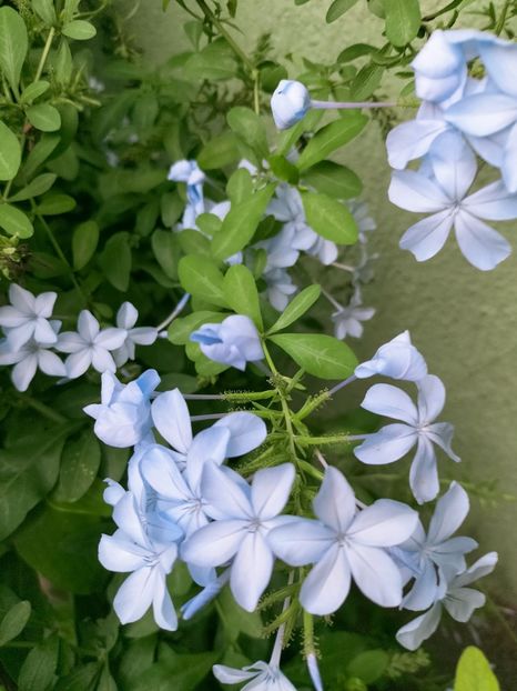 IMG20220908172501 - Septembrie 2022