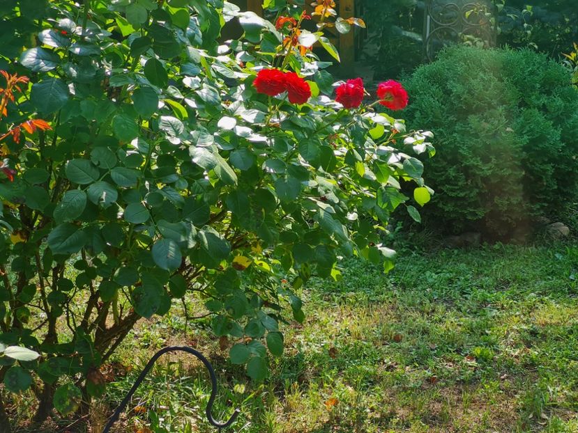  - 2022_Septembrie_Octombrie