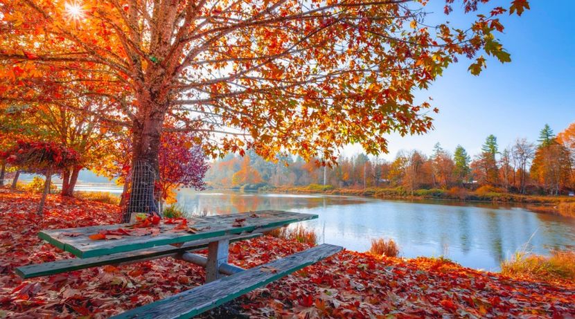 Autumn ❤️ - Annyeonghaseyo !