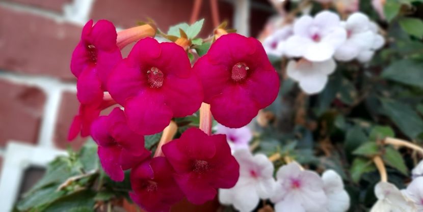  - ultima sedinta foto 2022