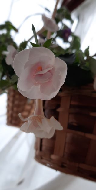  - ultima sedinta foto 2022