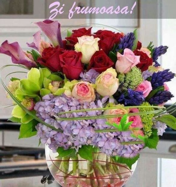 87534637_2572007179711502_6332333660477325312_n-1 - imagini