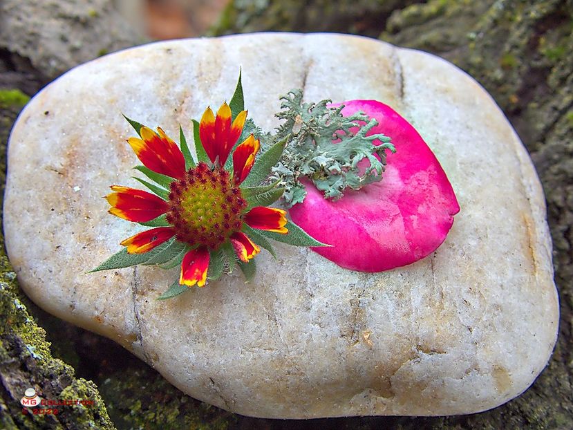 w-Rock Decor - DECO ART