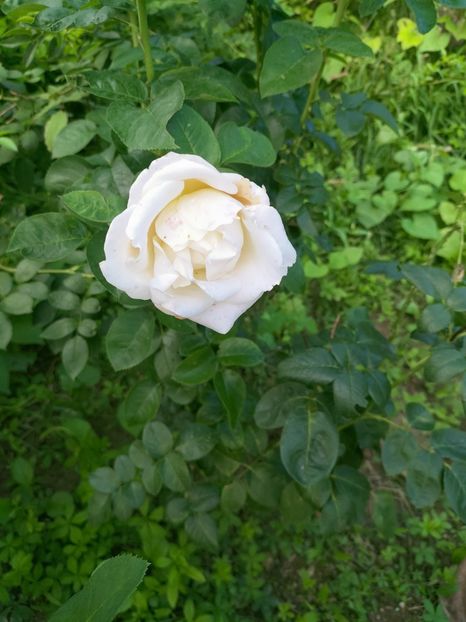 IMG20220908173946 - Septembrie 2022