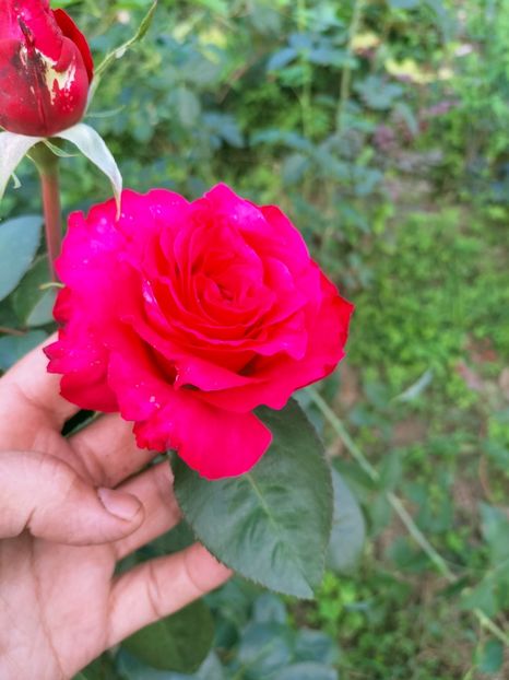 IMG20220908173935 - Septembrie 2022