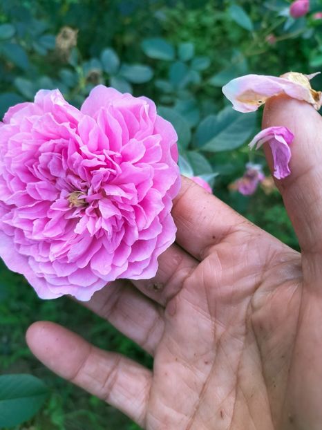 IMG20220908173113 - Septembrie 2022