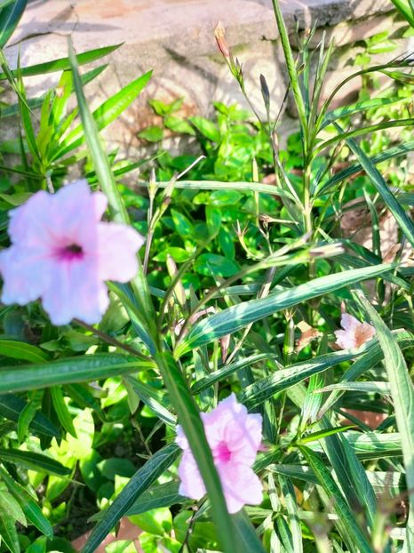 IMG20220908172550 - Septembrie 2022