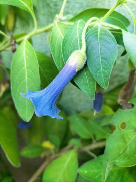 IMG20220908172539 - Septembrie 2022