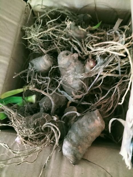 IMG20220908171810 - Septembrie 2022