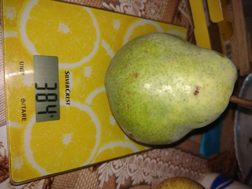  - Par de la nycoleta 100 ani