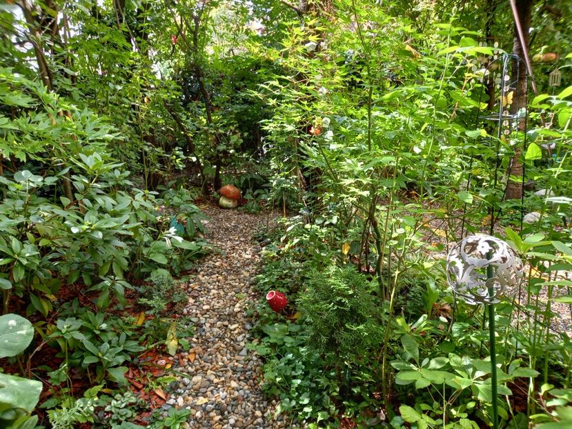  - Grădina 2022 continuare 3