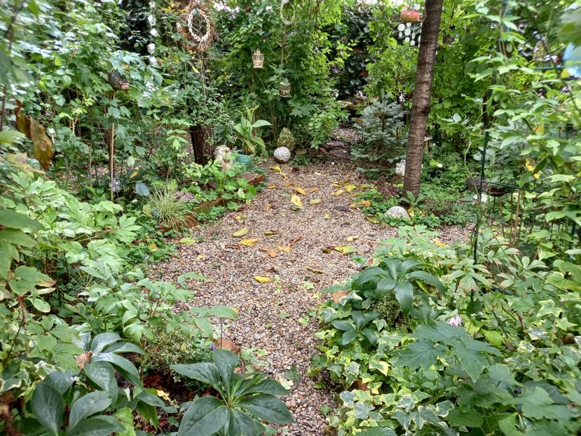  - Grădina 2022 continuare 3