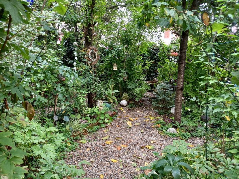  - Grădina 2022 continuare 3