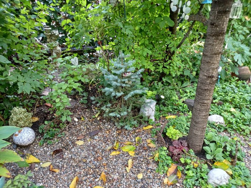  - Grădina 2022 continuare 3