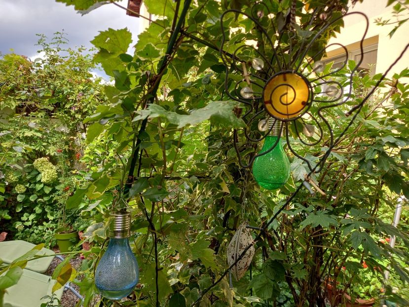  - Grădina 2022 continuare 3