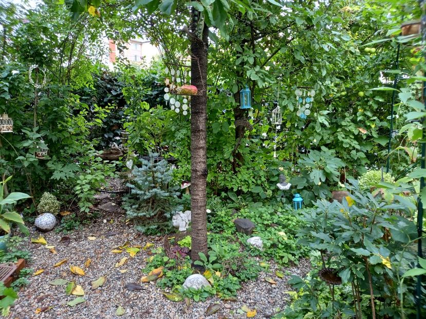  - Grădina 2022 continuare 3