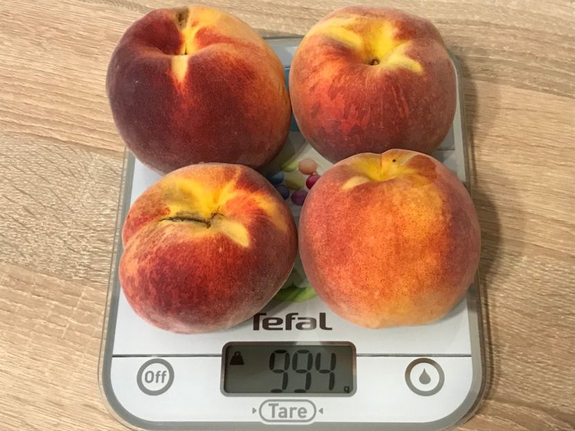  - piersic PAVIE galbena 2 Damb