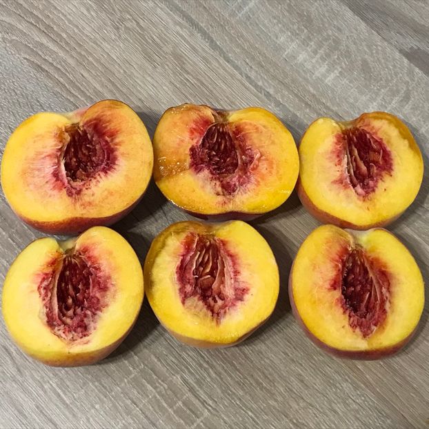  - piersic PAVIE galbena 2 Damb