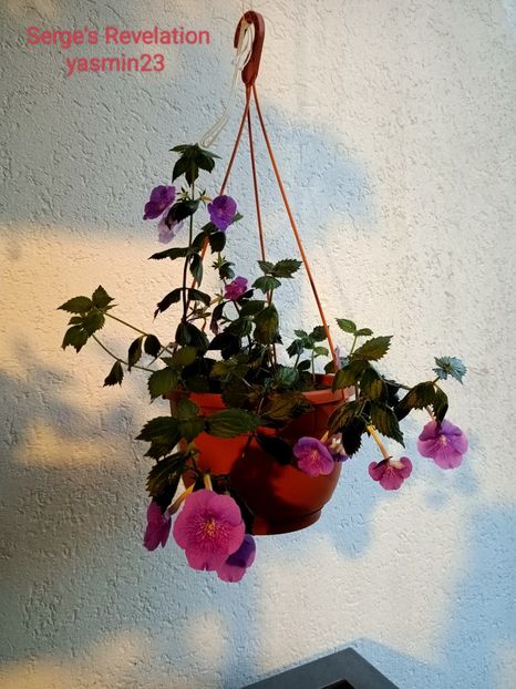 11.09.2022 - Serge-s Revelation 2