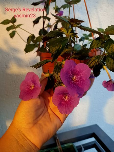 11.09.2022 - Serge-s Revelation 2