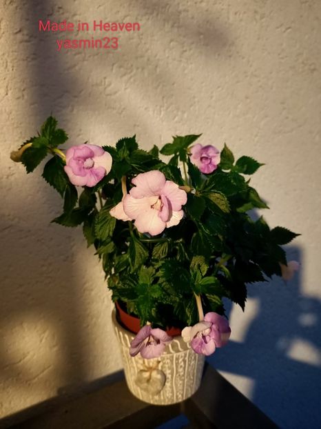 11.09.2022 - Made in Heaven