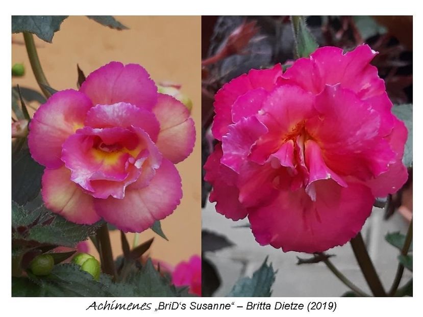 3,5 e (a,b) 15-25 - 0 BriD s achi 2019