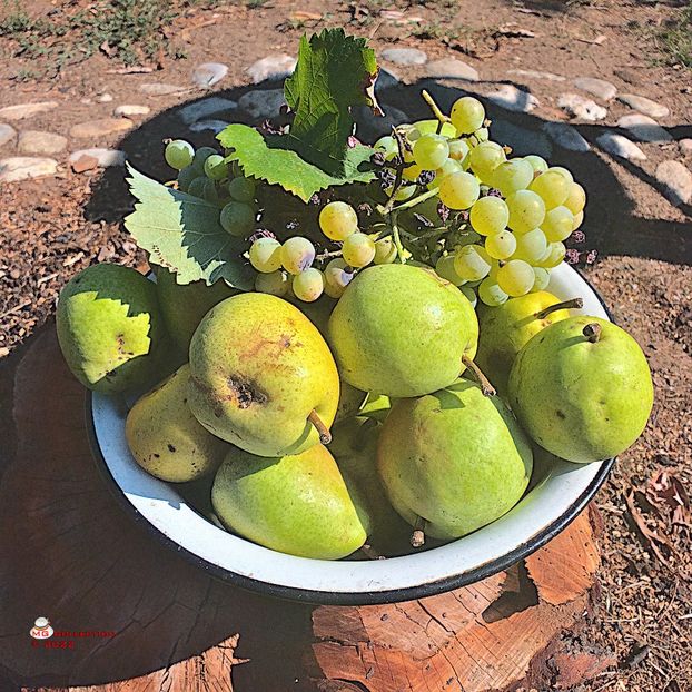 w-Decor de toamna-Autumn Deco 02 - FRUCTE-FRUITS