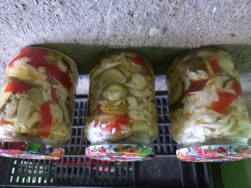 ciolomada pentru iarna - Retete 2