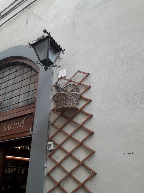  - Italia Bologna Florenta Venetia 2022