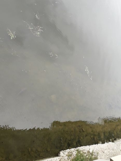  - Italia Bologna Florenta Venetia 2022