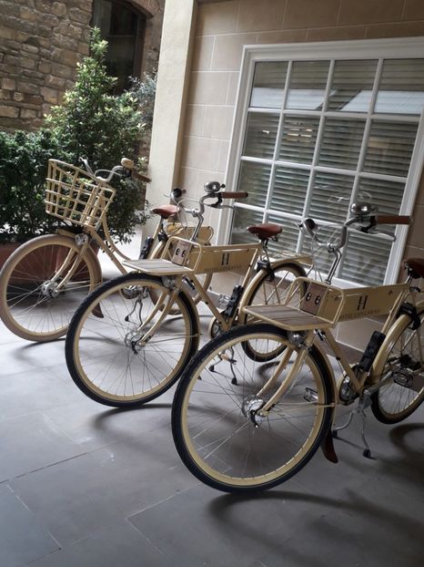  - Italia Bologna Florenta Venetia 2022