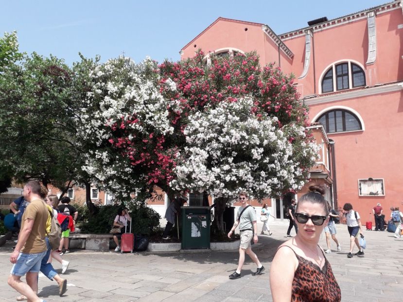  - Italia Bologna Florenta Venetia 2022