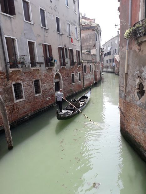  - Italia Bologna Florenta Venetia 2022