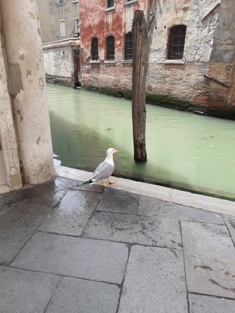  - Italia Bologna Florenta Venetia 2022