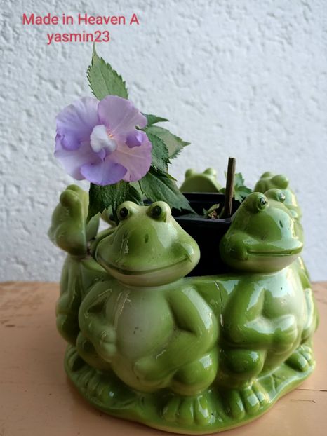 12.09.2022 - Made in Heaven