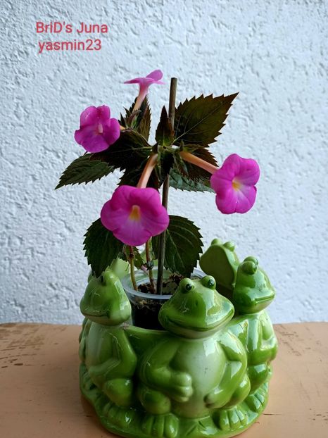 12.09.2022 - BriDs Juna