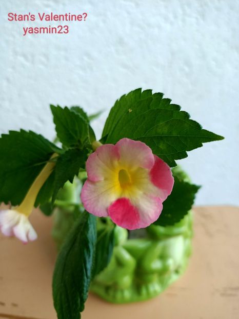 12.09.2022 - Stan_s Valentine