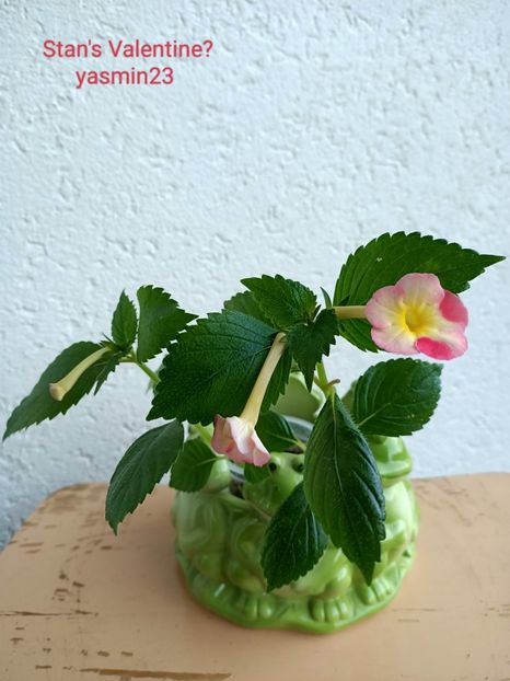  - Stan_s Valentine