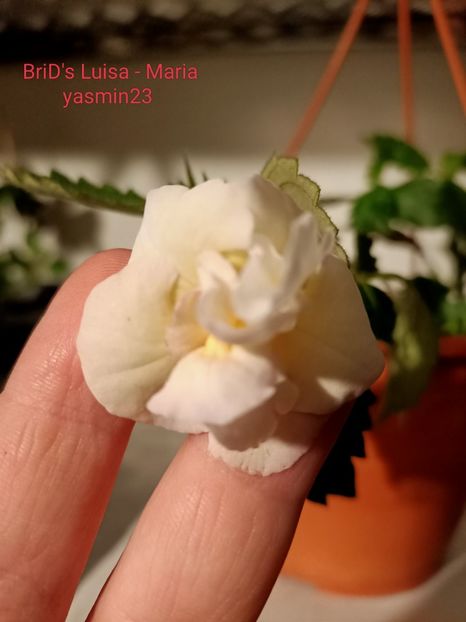 12.09.2022 - BriDs Luisa Maria