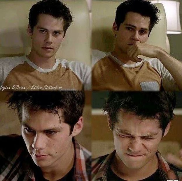 101927696_FHFKYKG - diversitate