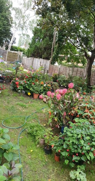 received_1283111065778048 - 0 Gradina 2022