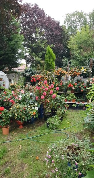 received_762903661466882 - 0 Gradina 2022