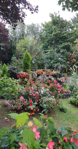 received_779575749958768 - - Gradina 2022