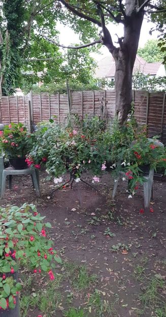 received_3279339612314693 - - Gradina 2022